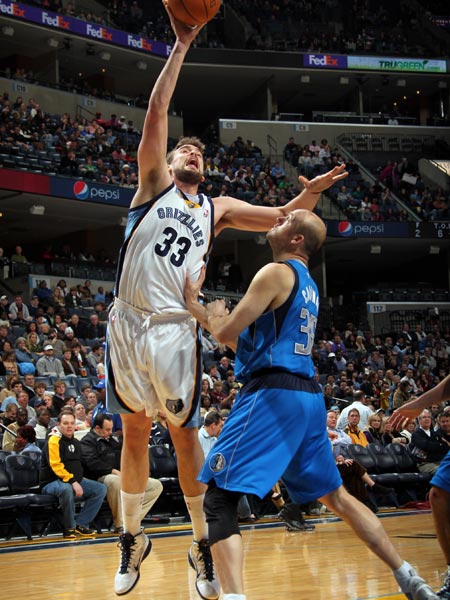 在未来的岁 在未来的岁