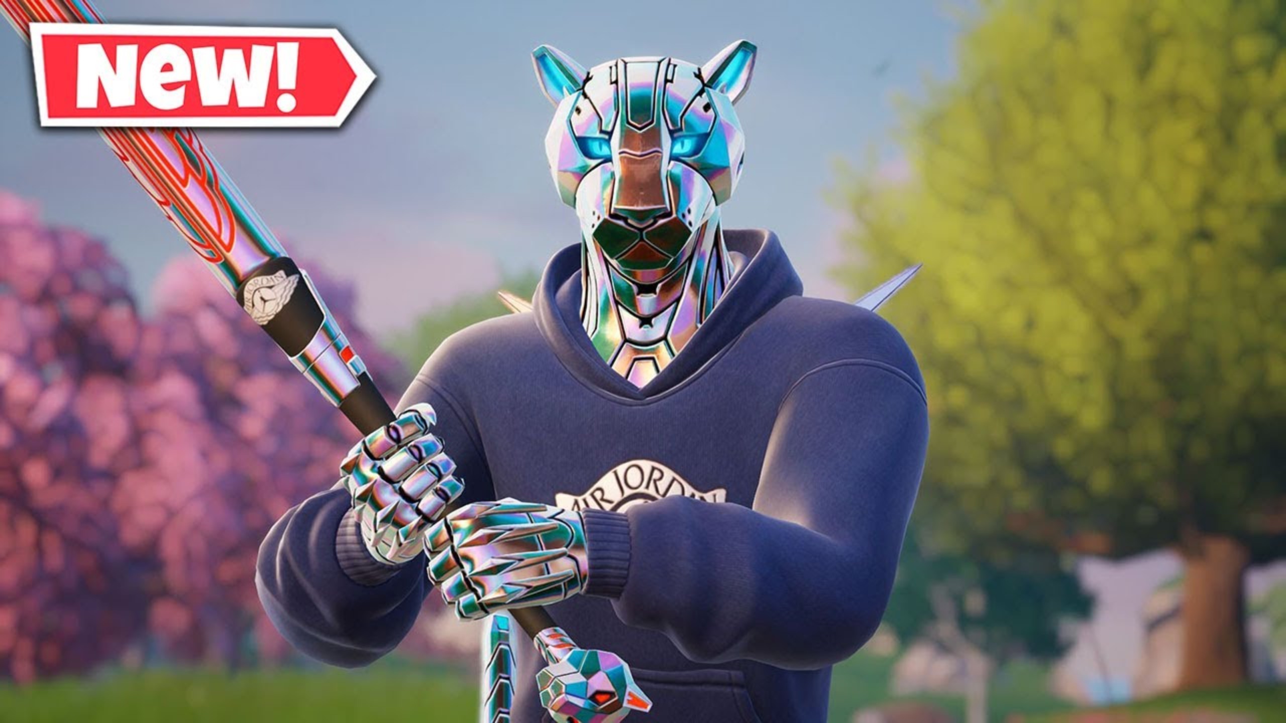 是球队的可 是球队的可